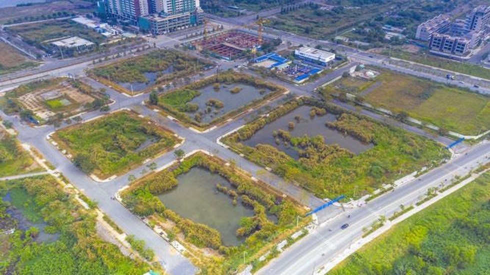 Positive signal for the real estate market, when re-auctioning unsecured land plots in Thu Thiem